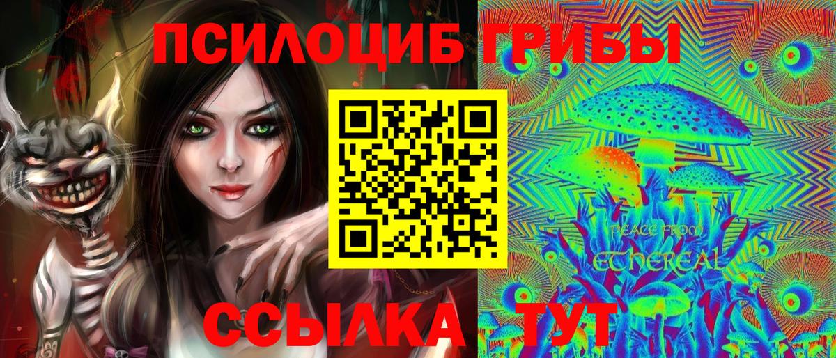 Галлюциногенные грибы Psilocybe  Вход с VPN  Псилоцибиновые грибы Cubensis  Котельники 