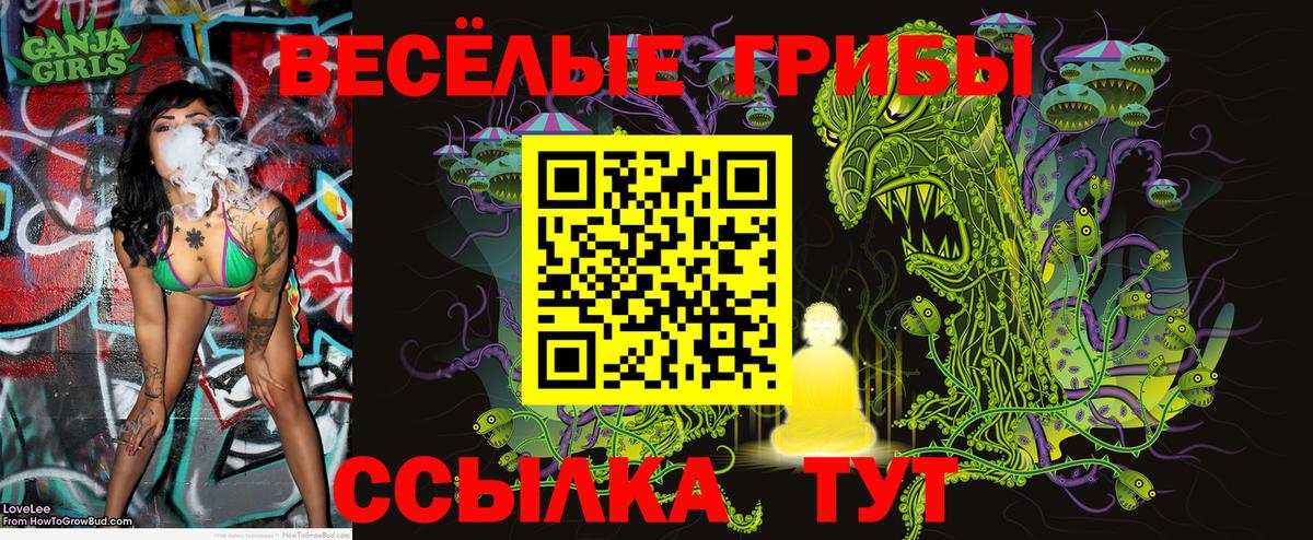 Псилоцибиновые грибы GOLDEN TEACHER Котельники